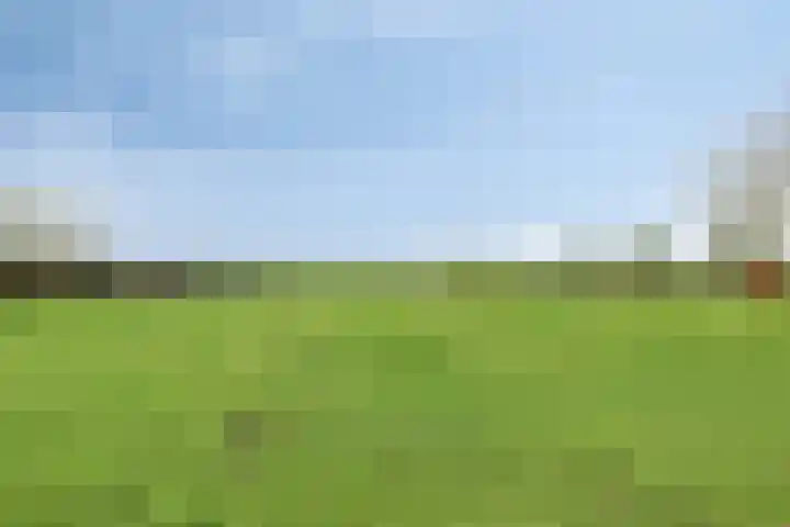 Grauwe Polder 184 Etten-Leur thumbnail 40