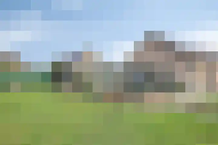 Grauwe Polder 184 Etten-Leur thumbnail 41