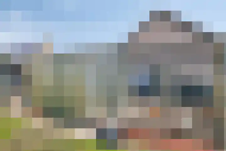 Grauwe Polder 184 Etten-Leur thumbnail 42