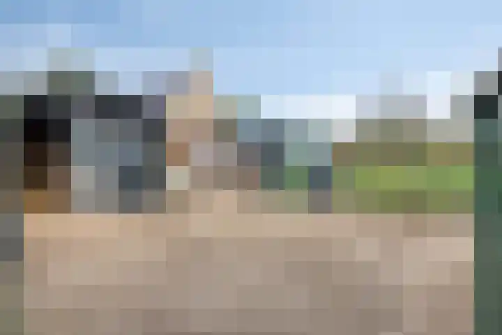 Grauwe Polder 184 Etten-Leur thumbnail 43