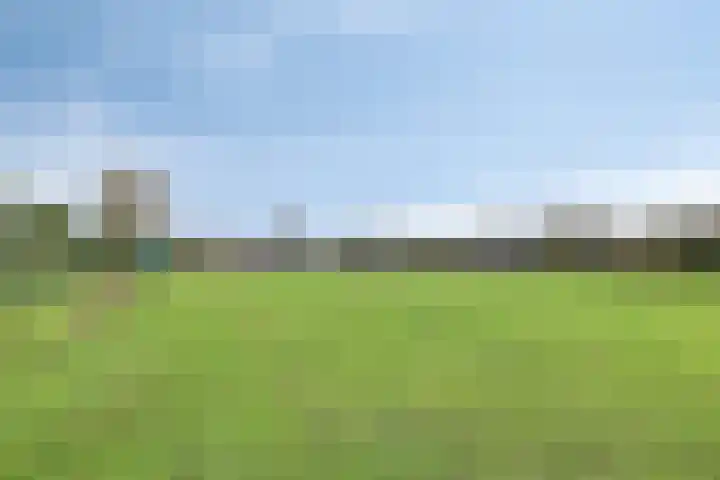 Grauwe Polder 184 Etten-Leur thumbnail 44