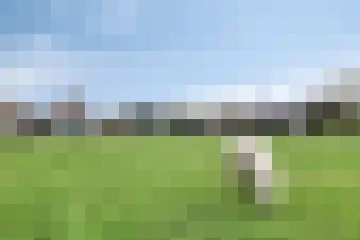 Grauwe Polder 184 Etten-Leur thumbnail 45