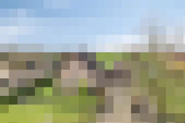 Grauwe Polder 184 Etten-Leur thumbnail 5