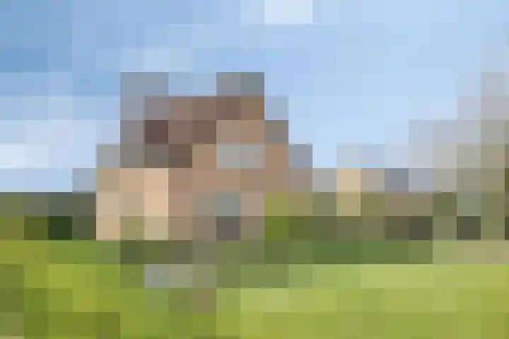 Grauwe Polder 184 Etten-Leur thumbnail 50