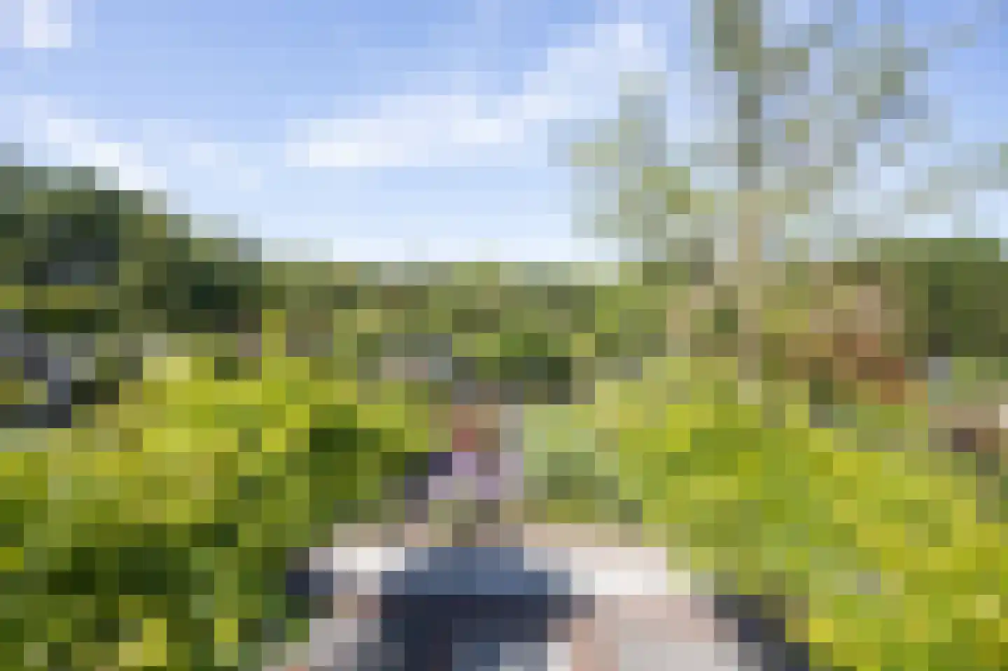 Grauwe Polder 56 A Etten-Leur thumbnail 42