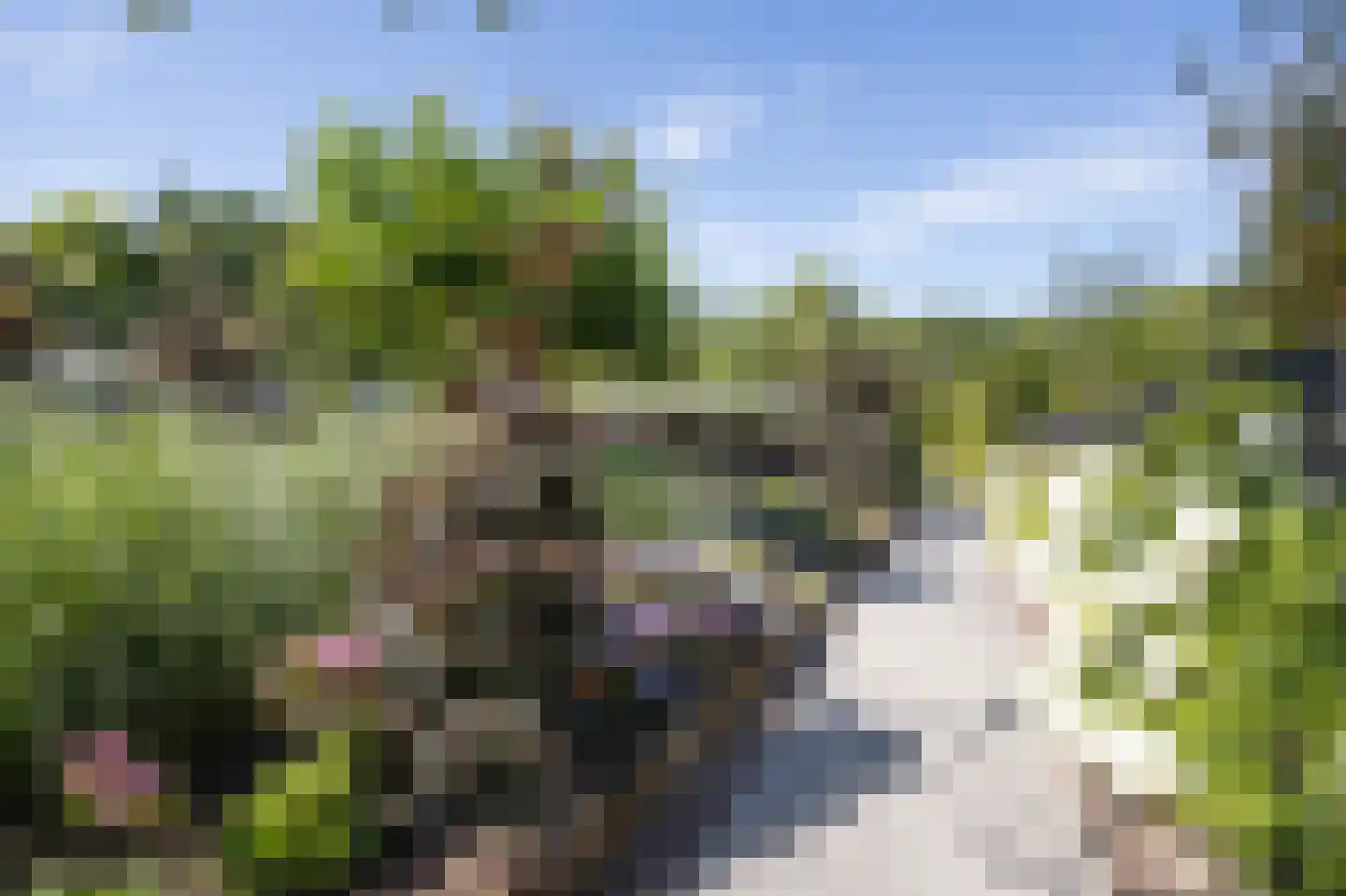 Grauwe Polder 56 A Etten-Leur thumbnail 43