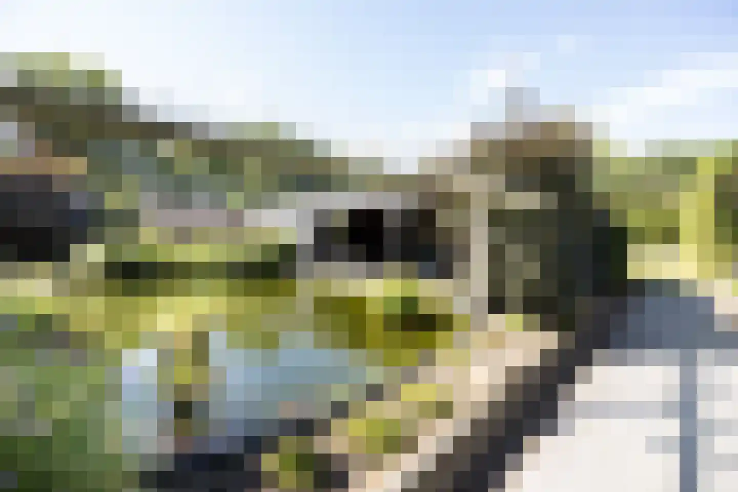Grauwe Polder 56 A Etten-Leur thumbnail 44