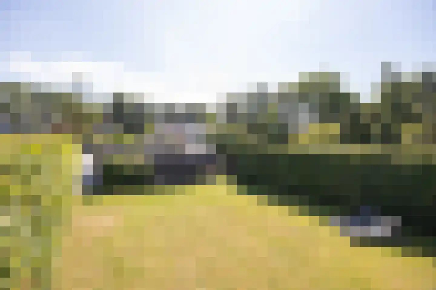 Grauwe Polder 56 A Etten-Leur thumbnail 47
