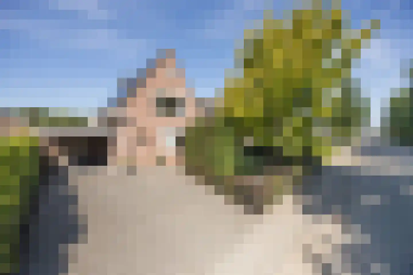 Grauwe Polder 56 A Etten-Leur thumbnail 5