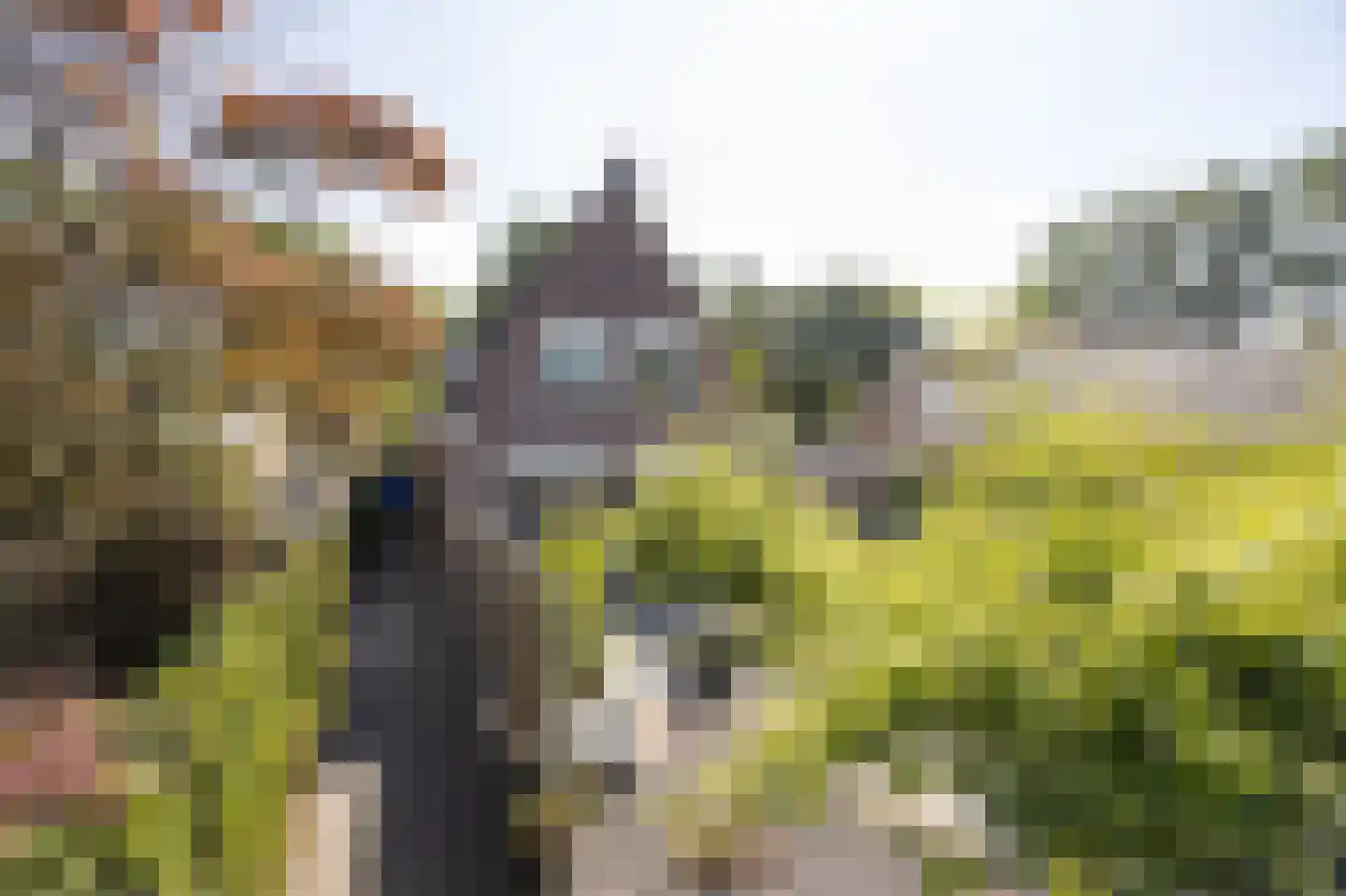 Grauwe Polder 56 A Etten-Leur thumbnail 57