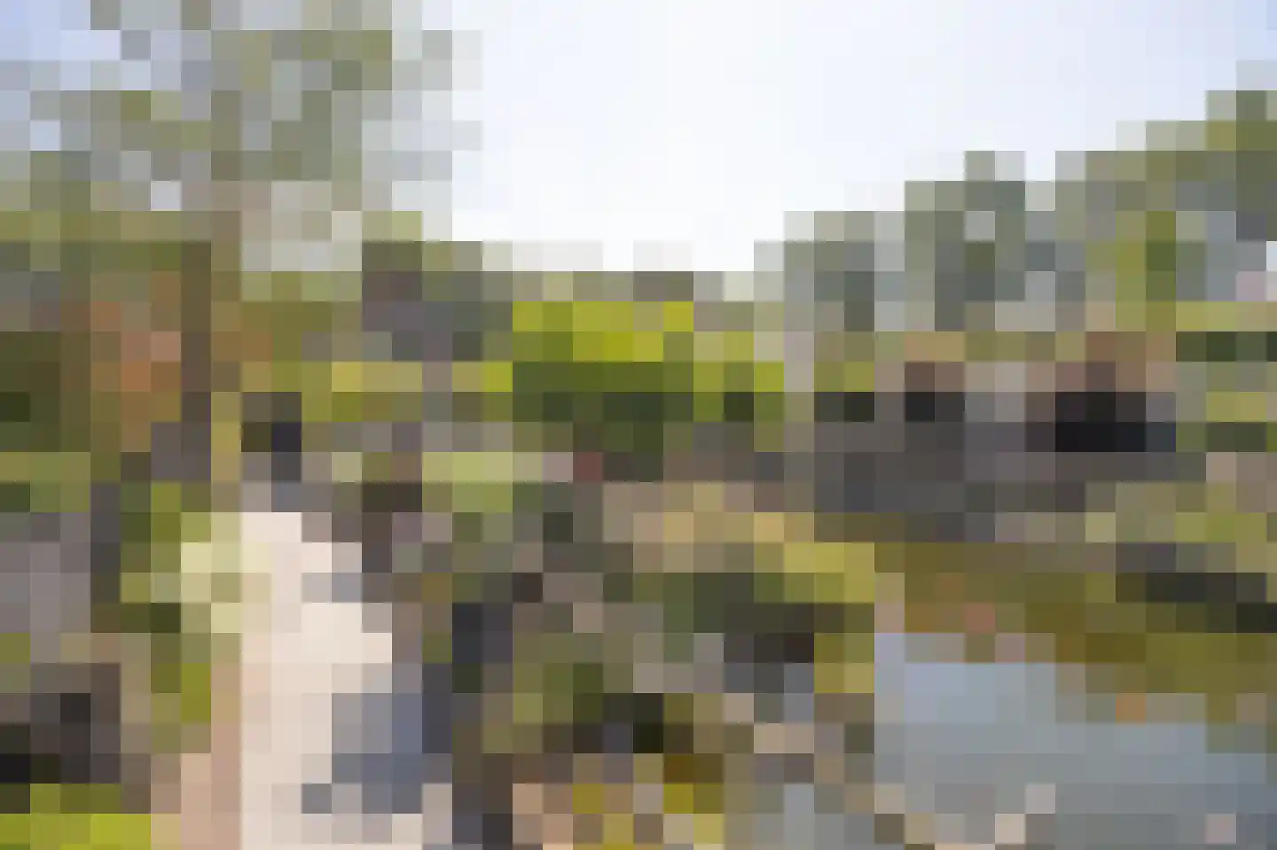 Grauwe Polder 56 A Etten-Leur thumbnail 58