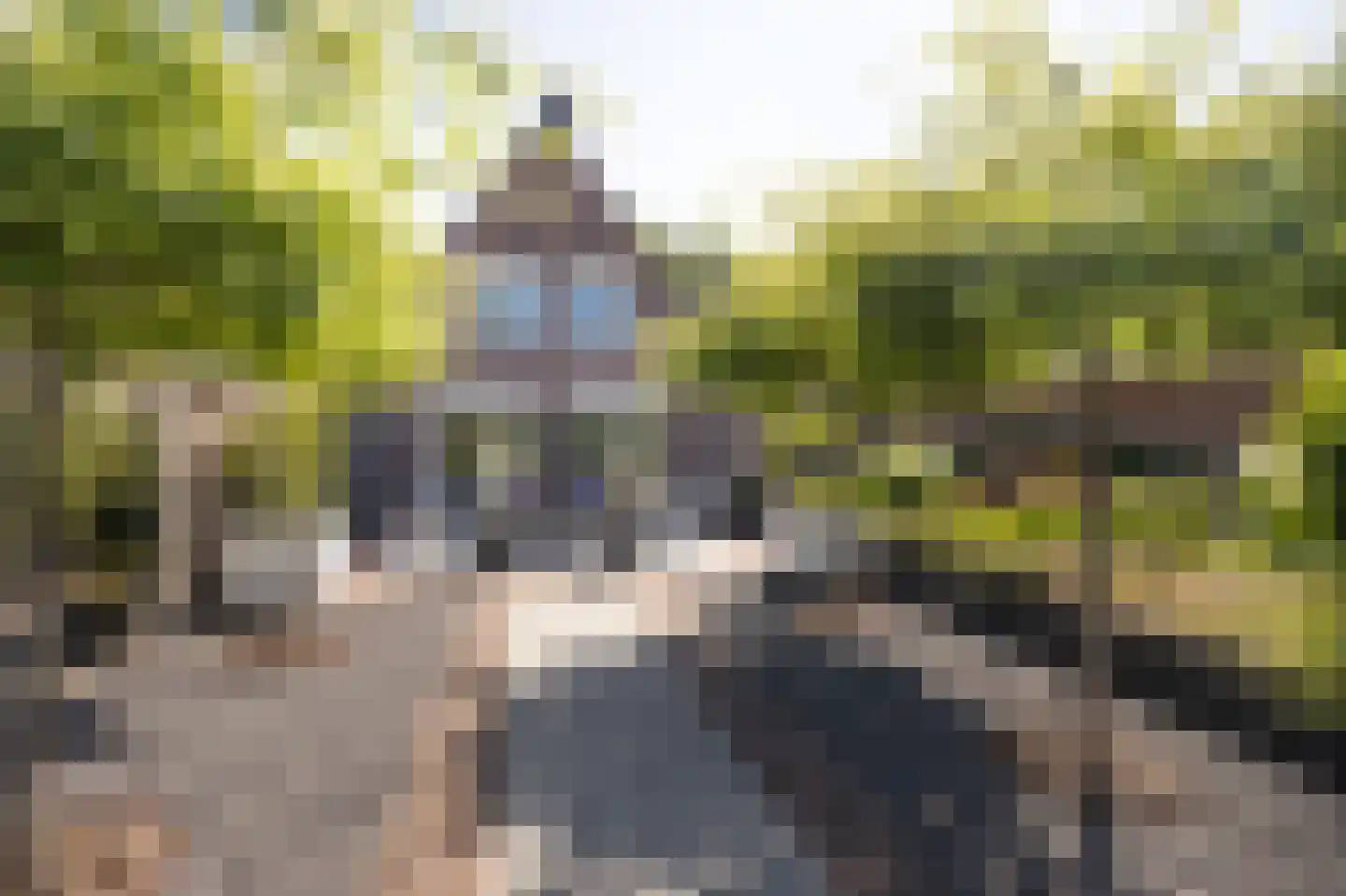 Grauwe Polder 56 A Etten-Leur thumbnail 59