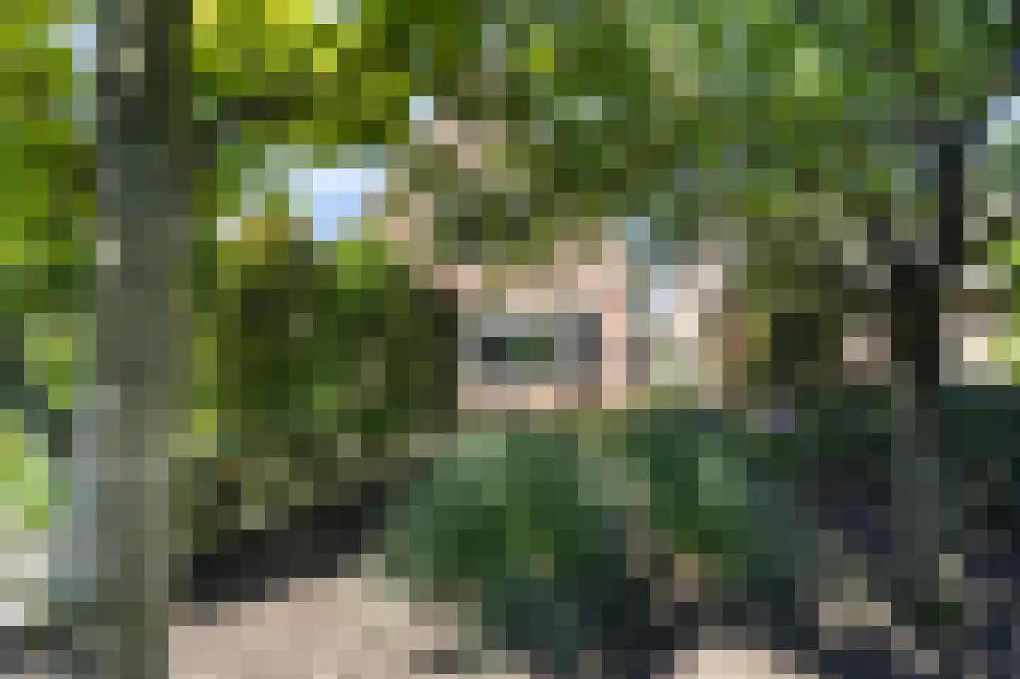 Grauwe Polder 56 A Etten-Leur thumbnail 61