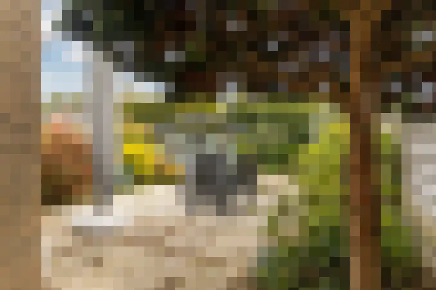 Grauwertstraat 7 Sittard thumbnail 32