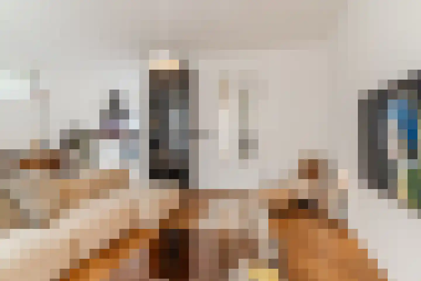 Grauwveen 11 Dongen thumbnail 12