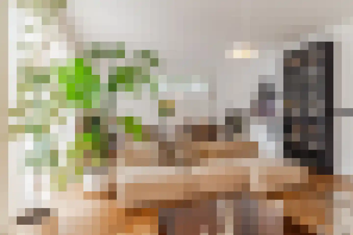 Grauwveen 11 Dongen thumbnail 13