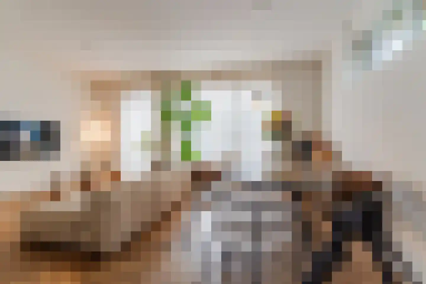 Grauwveen 11 Dongen thumbnail 15