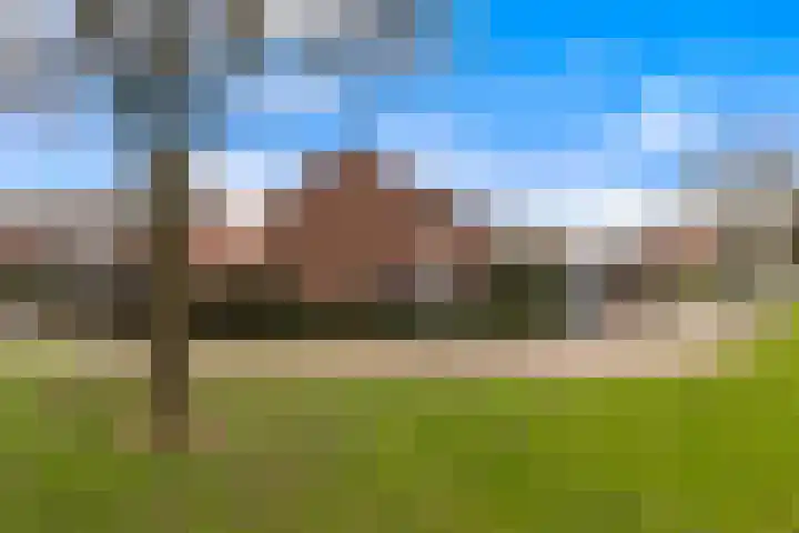 Graveerstift 37 Dordrecht thumbnail 45