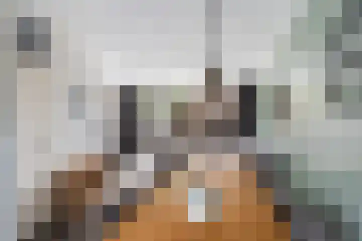 Graveerstift 45 Dordrecht thumbnail 15