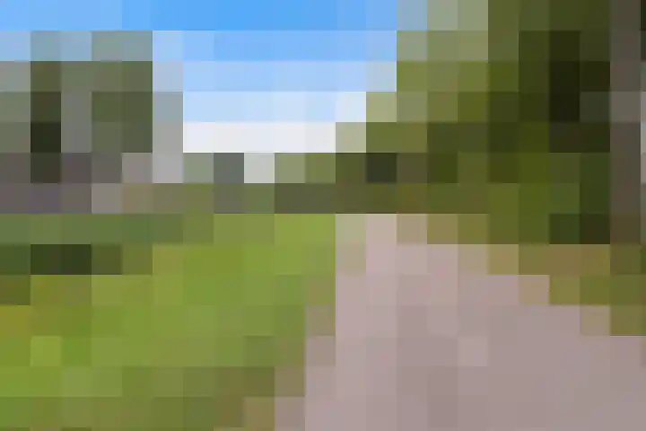 Graveerstift 45 Dordrecht thumbnail 37