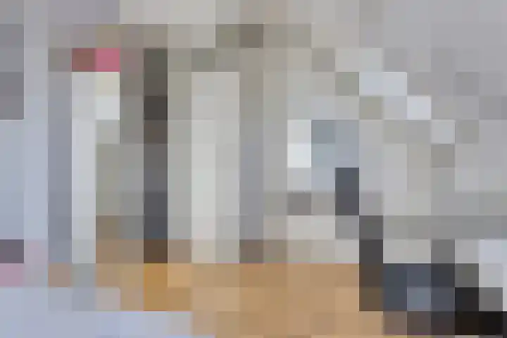 Gravekamp 101 Huissen thumbnail 18