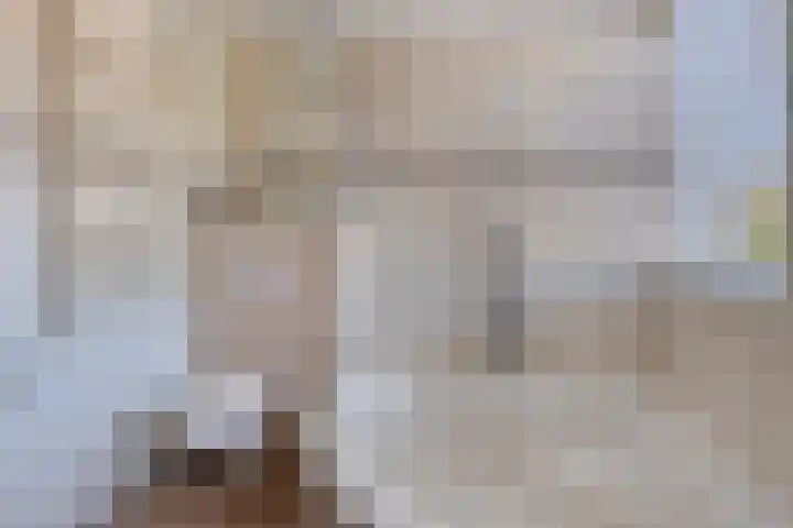 Gravekamp 101 Huissen thumbnail 22