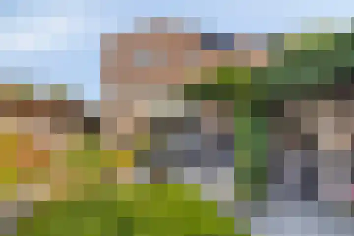 Gravekamp 101 Huissen thumbnail 27