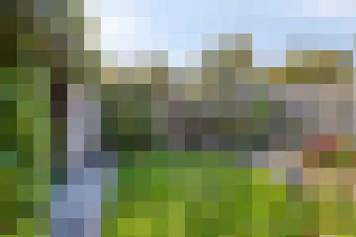 Gravekamp 101 Huissen thumbnail 29