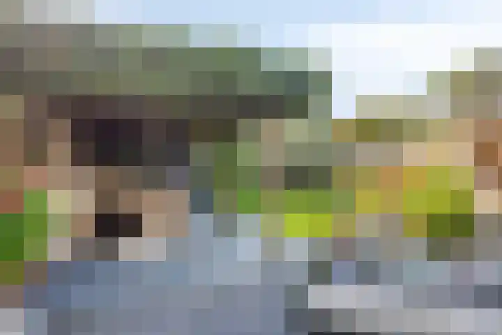 Gravekamp 101 Huissen thumbnail 30