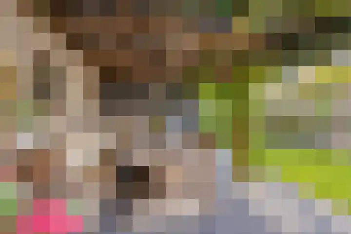 Gravekamp 101 Huissen thumbnail 31