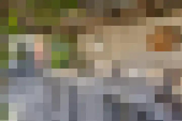 Gravekamp 101 Huissen thumbnail 32