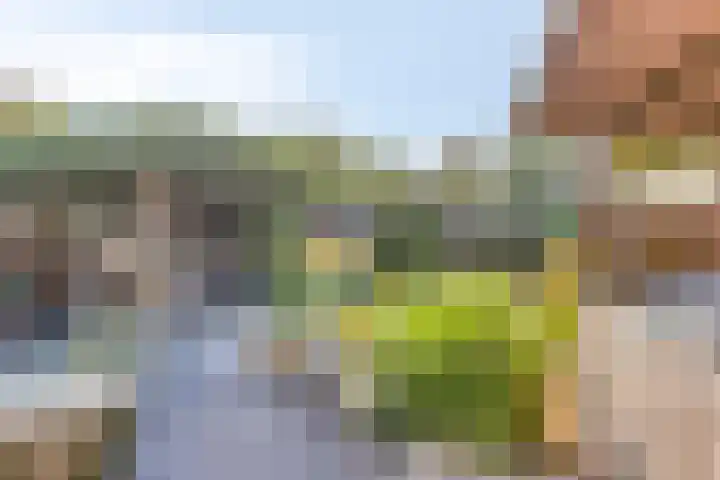 Gravekamp 101 Huissen thumbnail 33