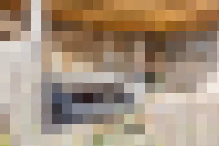 Gravekamp 101 Huissen thumbnail 34