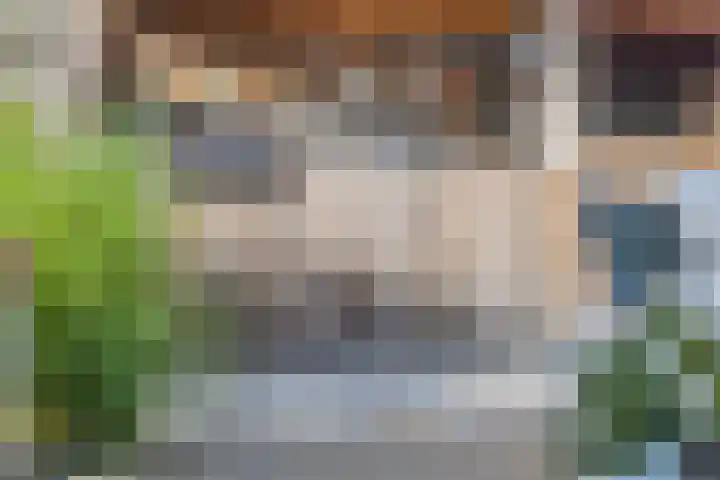 Gravekamp 101 Huissen thumbnail 35