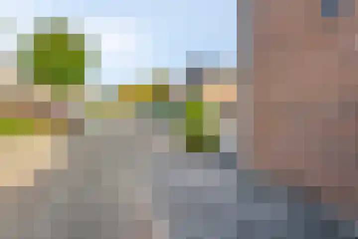Gravekamp 101 Huissen thumbnail 37