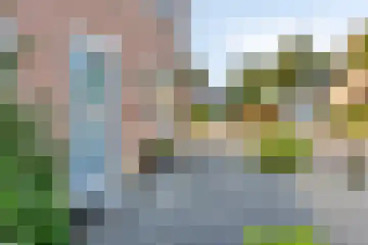 Gravekamp 101 Huissen thumbnail 4