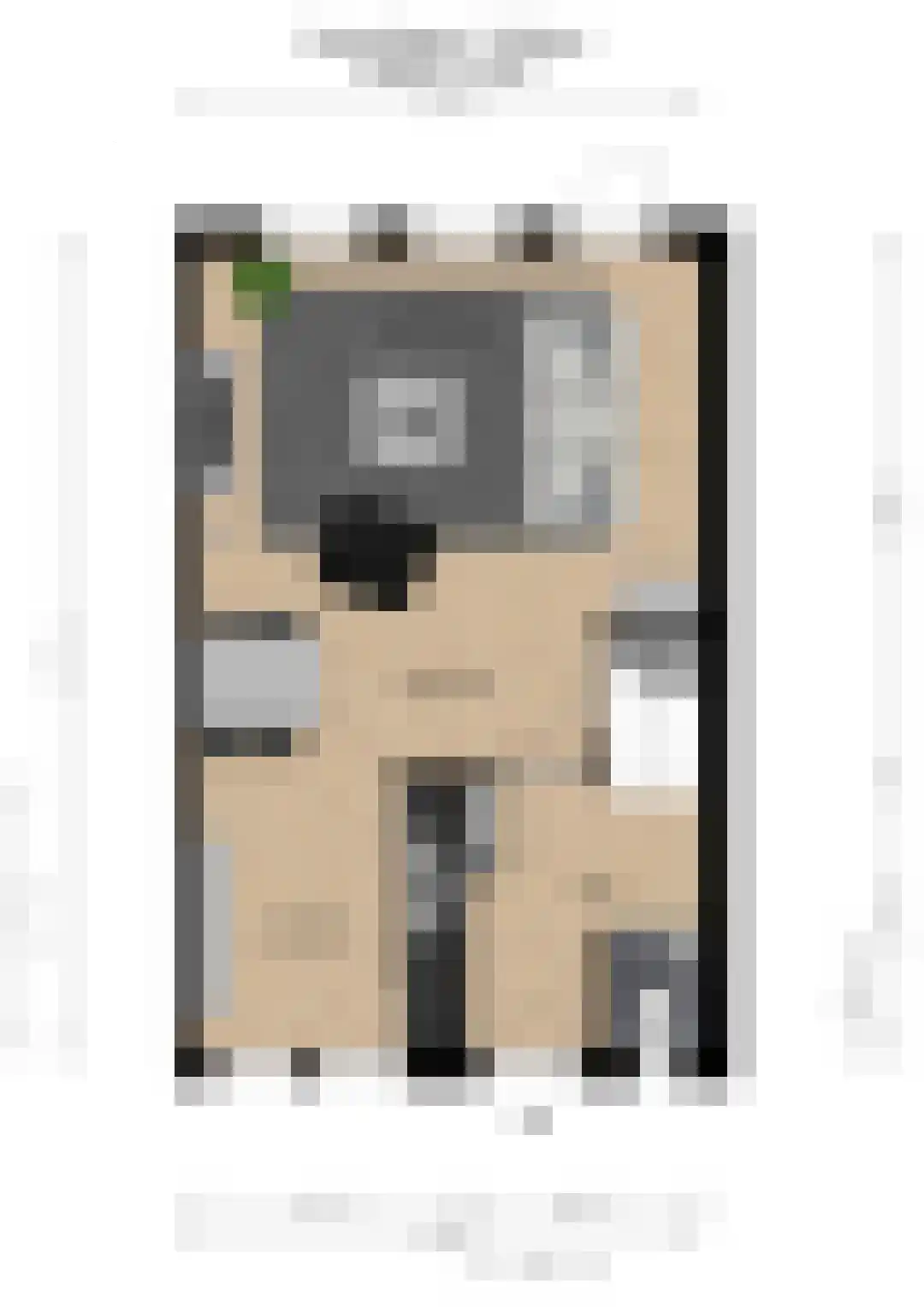 Gravekamp 2 Huissen thumbnail 24