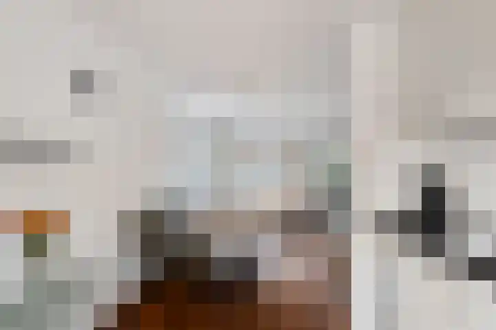 Gravekamp 40 Huissen thumbnail 13