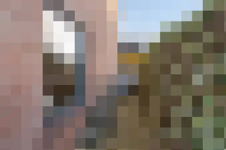 Gravekamp 40 Huissen thumbnail 27