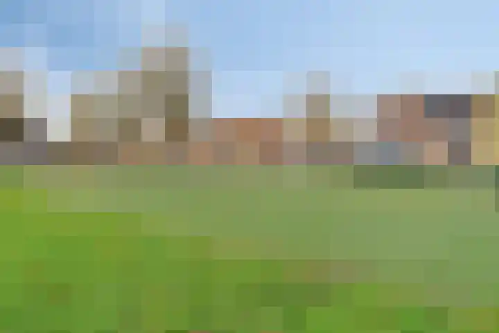 Gravekamp 40 Huissen thumbnail 31