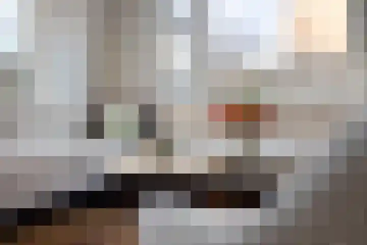 Gravekamp 40 Huissen thumbnail 7