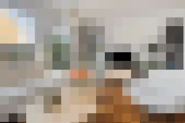 Gravekamp 40 Huissen thumbnail 8