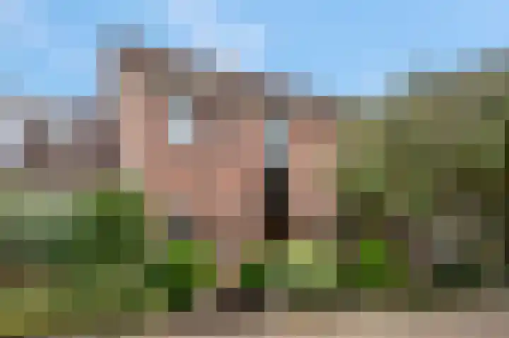 Gravekamp 64 en Huissen