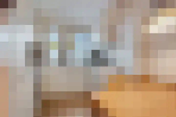 Gravekamp 64 Huissen thumbnail 12