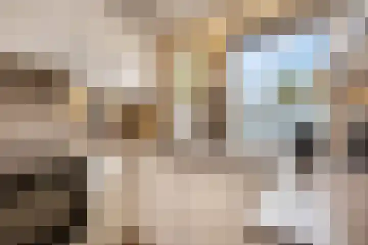 Gravekamp 64 Huissen thumbnail 15