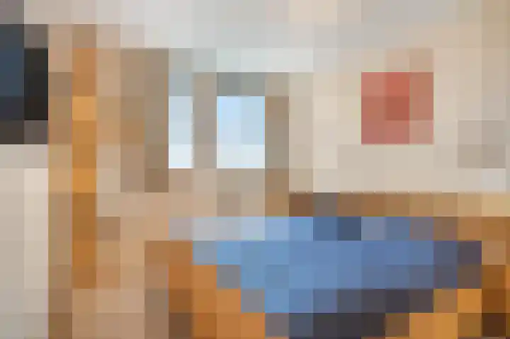 Gravekamp 64 Huissen thumbnail 24