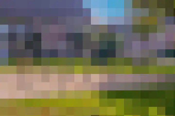 Gravekamp 64 Huissen thumbnail 35