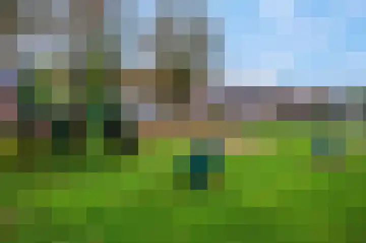 Gravekamp 64 Huissen thumbnail 36