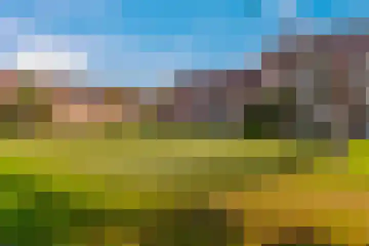 Gravekamp 64 Huissen thumbnail 37