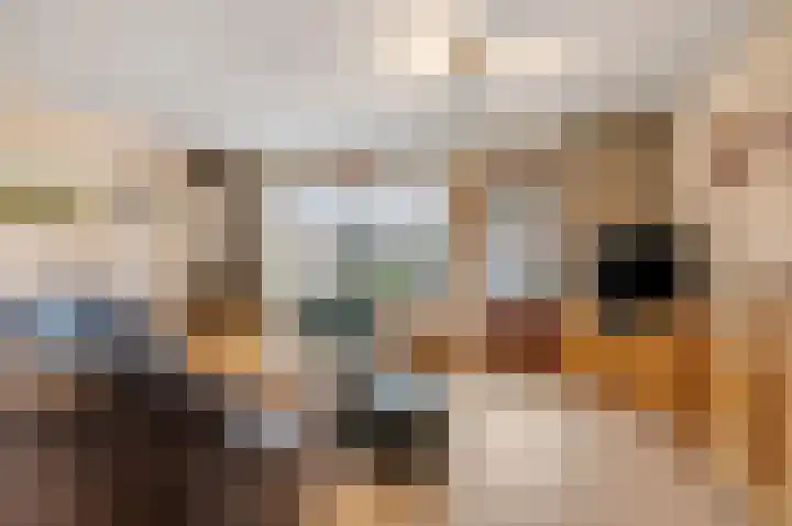 Gravekamp 64 Huissen thumbnail 8
